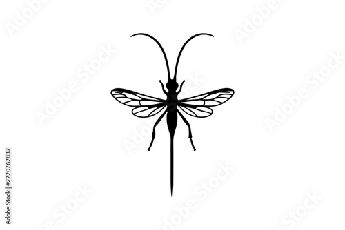 a silhouette of a parasitic wasp