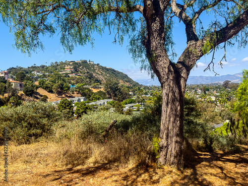 Hillside View