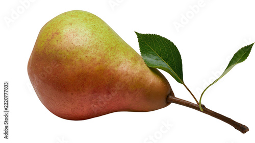 Fresh ripe green and red pear fruit with a small twig and two green leaves