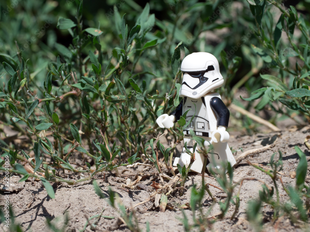 Naklejka premium Chernihiv, Ukraine, July 13, 2021. A walking imperial stormtrooper among plants, a plastic minifigure. Illustrative editorial.