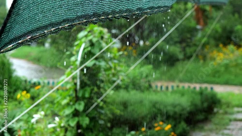 rain drops falling from green shade net in garden video screenshot, heavy rain pouring down from outdoor awning canopy in backyard, close up of rainwater dripping from mesh shade cloth during summer s