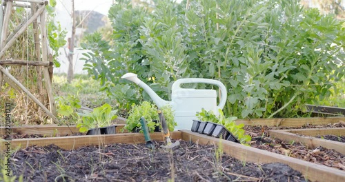 Camera is pulling back and tracking right, showing watering can, trowel, seedlings and wider garden