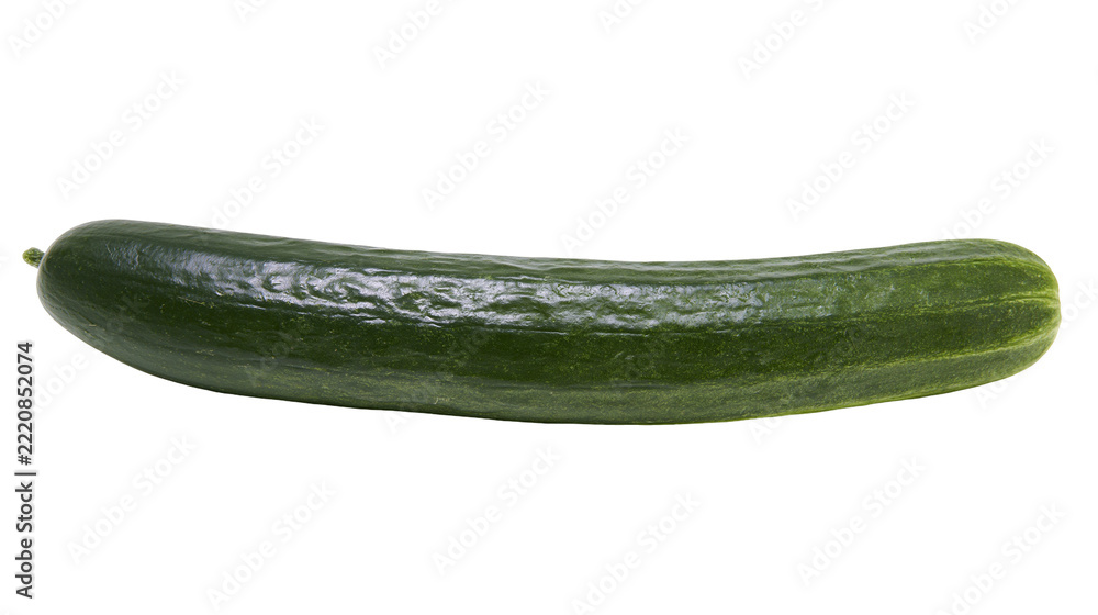 Fotografie Fresh long green cucumber with bumpy skin texture