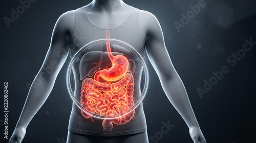 An anatomical torso with glowing intestinal tract showing severe cramps, stomach irritation and Digestion Diarrhea