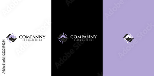 Compass Navigation Mountain Peak Logo Design