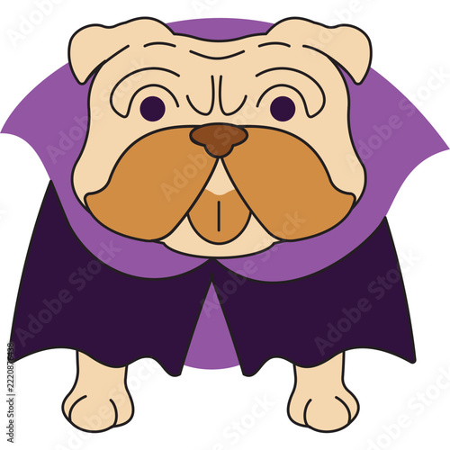 English bulldog wears vampire costume