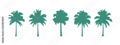 Palm trees standing alone against a clean white backdrop. Perfect for creating eye-catching posters, banners, and promotional materials. This vector illustration works great for any design project.