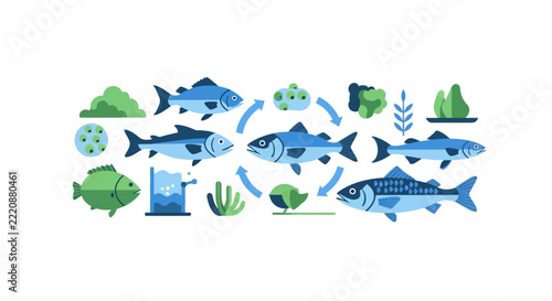 Sustainable Fish Farming and Aquaculture Life Cycle Infographic Illustration