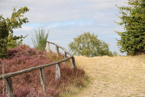 Landschaft auf dem Wilseder Berg in der Lüneburger Heide