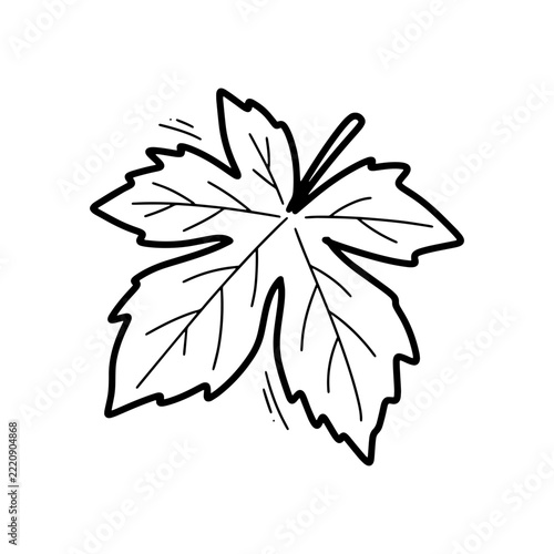 Hand drawn maple leaf illustration with detailed veins and jagged edges, autumn foliage botanical element in black and white line art, isolated on white background. Doodle Vector