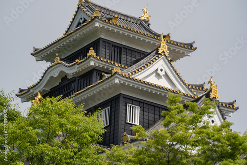 黒と金の佇まいの岡山城
