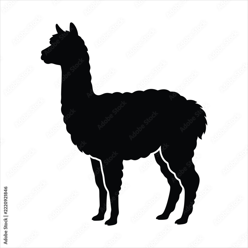 Fototapeta premium Llama standing side view silhouette vector illustration isolated on white