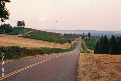 Vineyard Willamette Valley Oregon Film rural road
