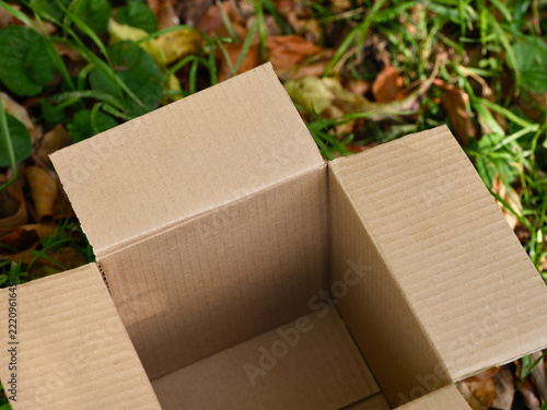 An open empty cardboard box placed on a grassy ground covered with autumn leaves.