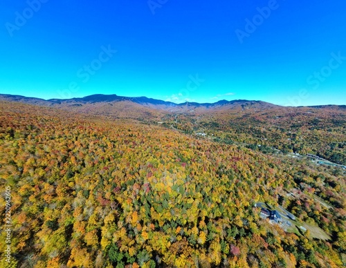 Beautiful Fall Foliage Colors in the Mountains
