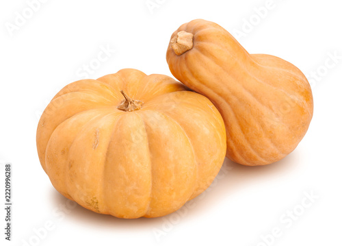 pumpkin butternut path isolated on white
