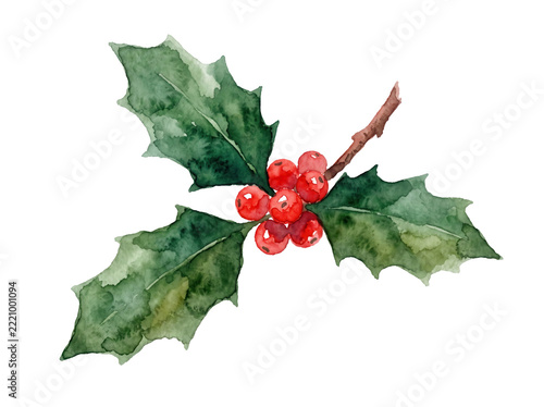 Watercolor holly sprig painting with green prickly leaves and red berries on a branch, festive Christmas botanical illustration for greeting card and seasonal marketing design.