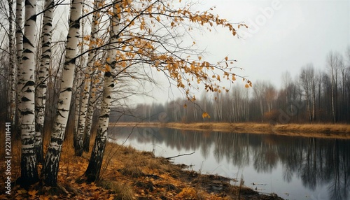 The farewell attire of the birches: autumn by the river