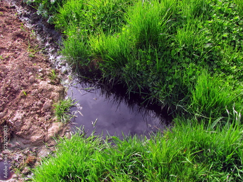 Liquid compost leakage flowing through green grass on farm field