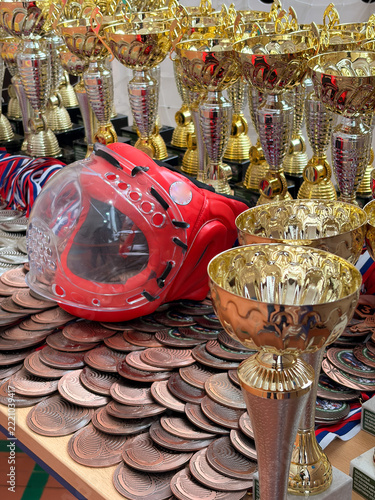 A protective mask for martial arts against a backdrop of trophies and medals.