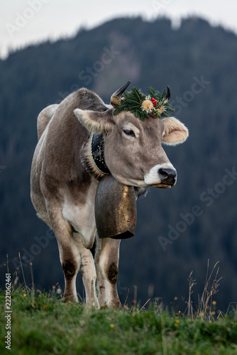 Fertig geschmückt 