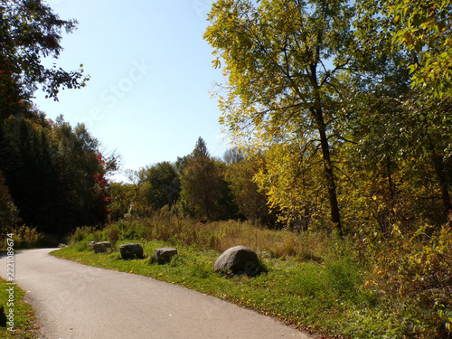 Fall landscape with trail in forest
