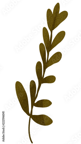 Dark Green Fern Frond Watercolor Illustration for Nature Design Clipart Bundle