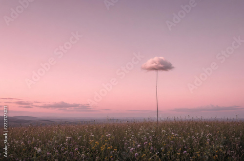 Surreal Cloud on a Stem in a Field