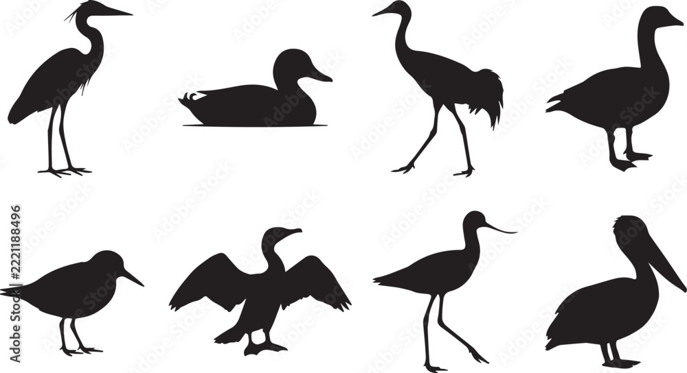 Fototapeta premium Set of Eight Black Bird Silhouettes Including Heron, Crane, Duck, Goose, Cormorant, Pelican and Avocet Vector Illustration
