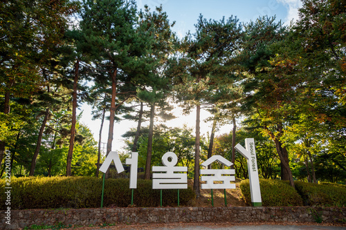 키 큰 나무들과 역광 햇살이 어우러진 서울 성수동 서울숲 공원 입구 표지판