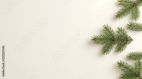 Pine branches arranged on a plain surface with soft light for festive design backgrounds