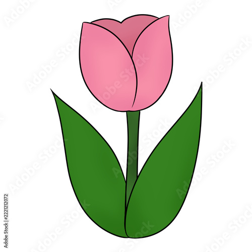 Simple Pink Tulip Illustration