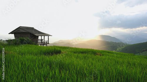 Fotografie Rice tree blowing in the wind with wooden hut in the mountains before sunset