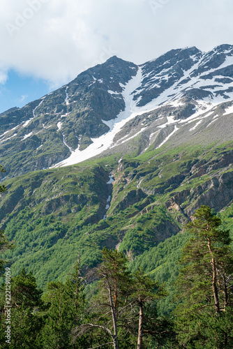 Snowy mountains, green trees in front