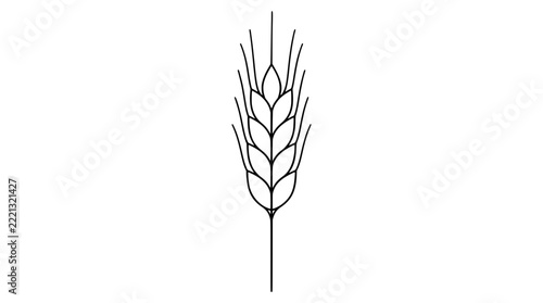 Elegant thin line black outline vector icon of an upright barley stalk with symmetric grains and long delicate bristles drawn in minimal lines in tall vertical centered composition evoking slenderness