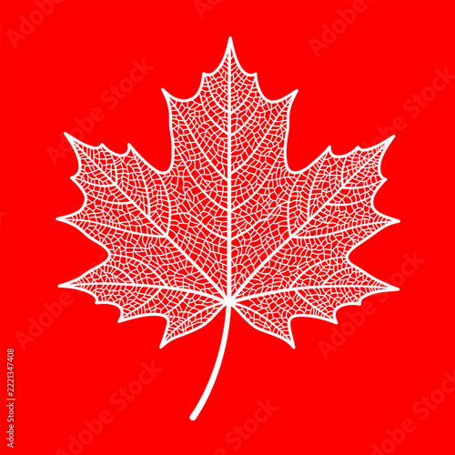 Illustration of a stylized white maple leaf skeleton centered against a vibrant, solid red background.