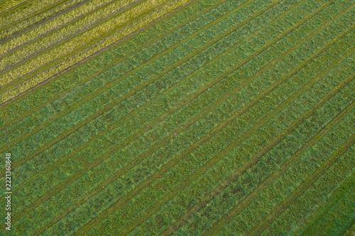 Aerial view showing green agricultural fields in South Holland