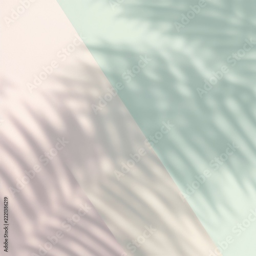 Soft pastel palm leaf shadow on gradient background for tropical wellness branding