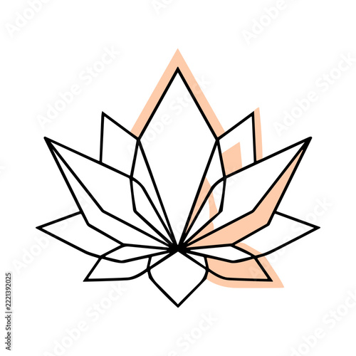 Elegant Geometric Abstract Design with Minimalist Floral Elements and a Colorful Background
