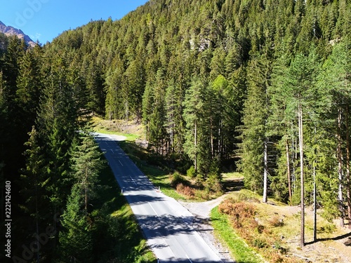 Aerial View of a Winding Mountain Road Through Dense Forest in Sunlight