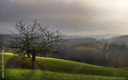 in der Eifel