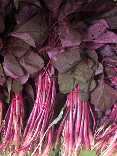 bunch of purple and red cabbage	
