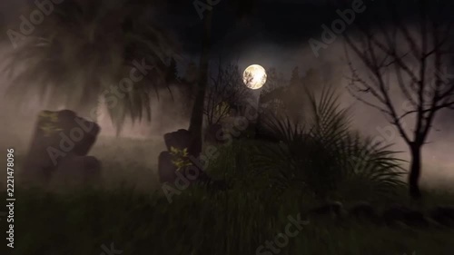 An animation set in a gloomy and eerie graveyard at night. The scene features a bright full moon, thick fog blanketing the ground, dead trees, palm trees, and tombstones.