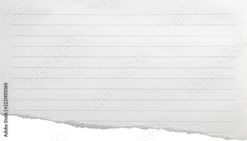 a piece of off-white ruled paper with a torn edge, isolated on a transparent background
