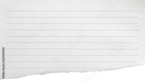 a piece of off-white ruled paper with a torn edge, isolated on a transparent background