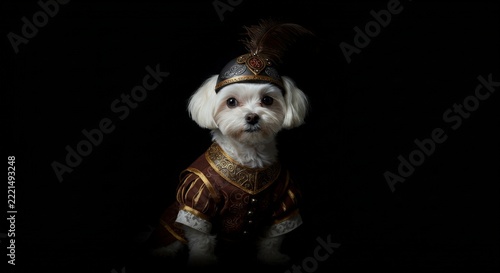 Small white dog in an ornate historical costume and feathered helmet posing against a dramatic black background