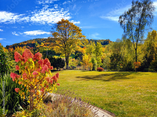 Colorful seasonal flowers and trees