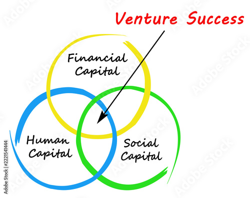 What drive venture success