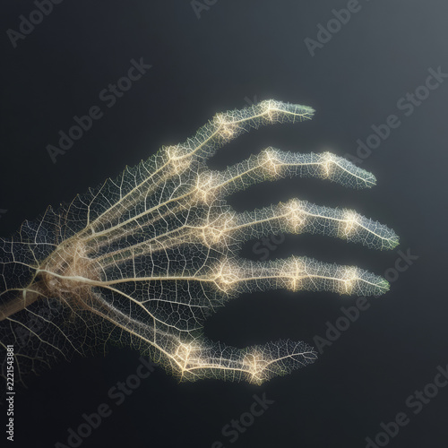 Botanical hand sculpture with glowing veins and skeleton leaf structure in fine art macro close-up