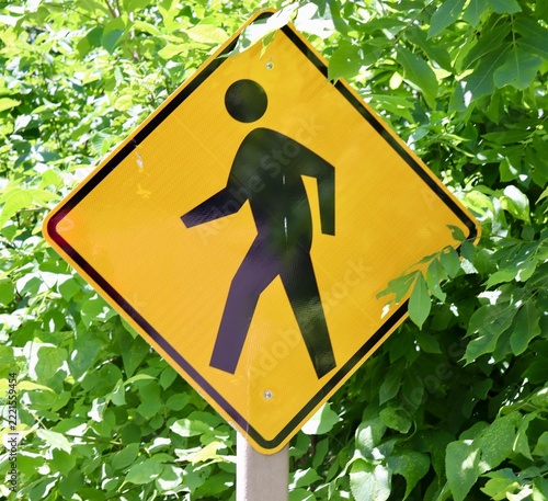 A close view of the yellow crossing sign.